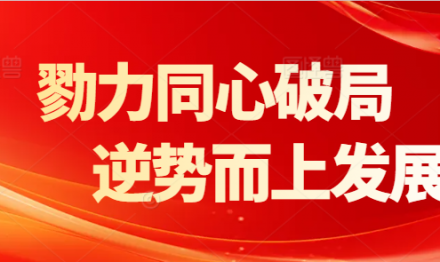 勠力同心破局 逆势而上发展—广东圣雪颜召开2025年上半年工作会议